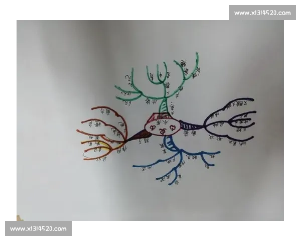 基础训练核心方法及其在各领域应用的系统性探讨与实施策略 基础训练核心方法及其在各领域应用的系统性探讨与实施策略